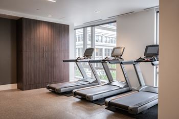 two rows of treadmills in a gym with large windows